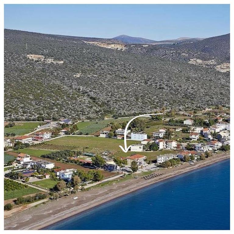 Zoom Beach Hotel Kandia Dış mekan fotoğraf