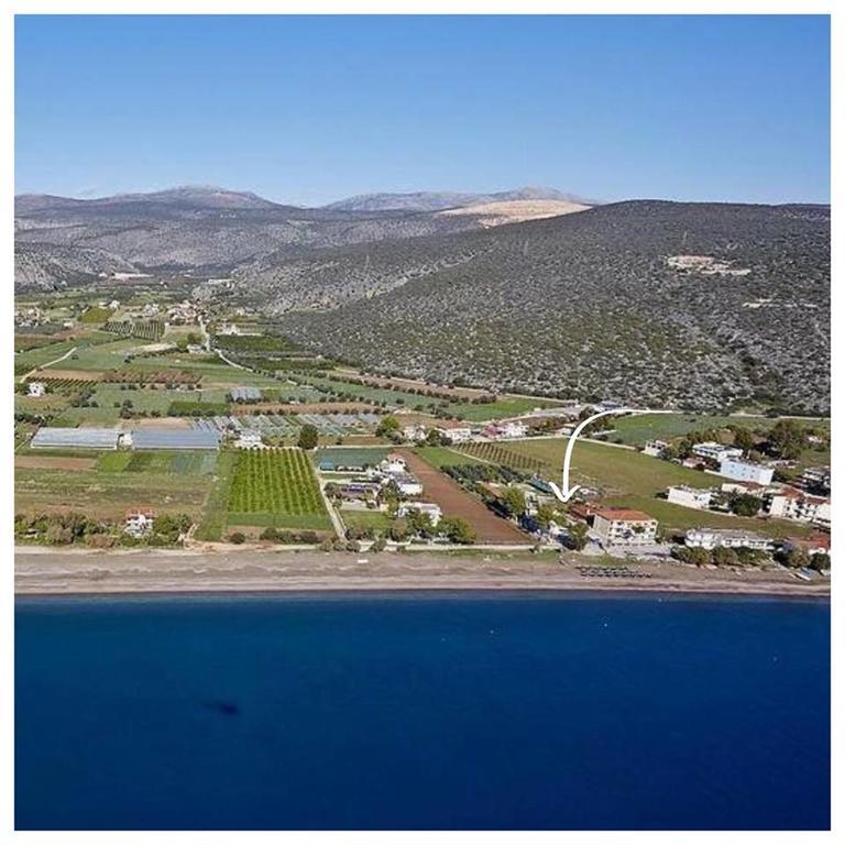 Zoom Beach Hotel Kandia Dış mekan fotoğraf